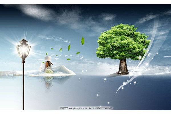 杭州公寓小憩,一杯茶香暖心间 杭州公寓小憩,一杯茶香暖心间